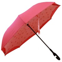 Custom logo  double layer reverse umbrella with funny printing car umbrella